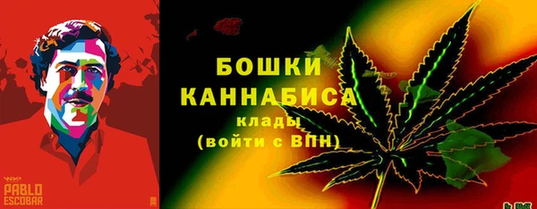 прущие грибы Магадан