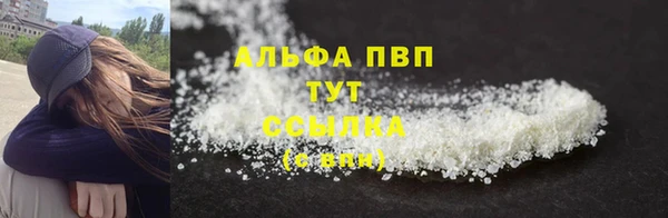 дмт Ладушкин