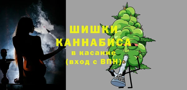 дмт Ладушкин