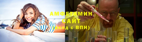 прущие грибы Магадан