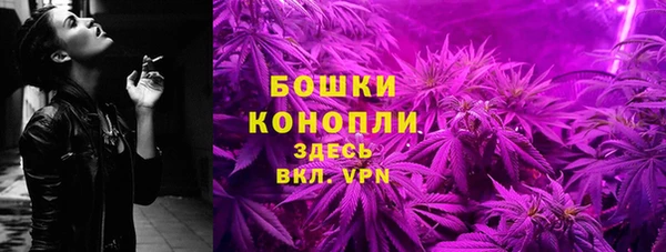 прущие грибы Магадан