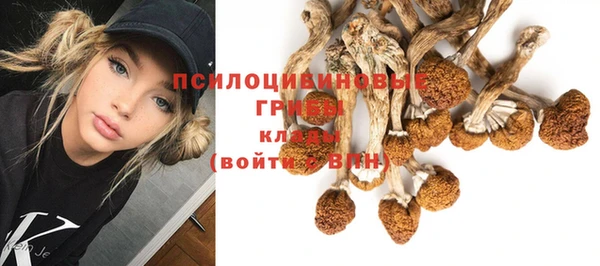 герыч Майский