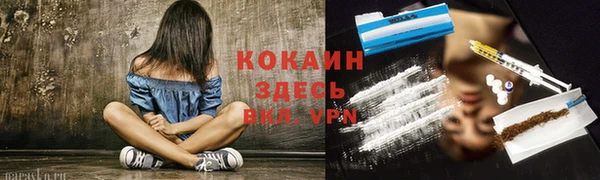 дмт Ладушкин