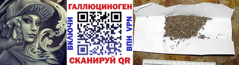 хочу   Среднеколымск  Псилоцибиновые грибы GOLDEN TEACHER 